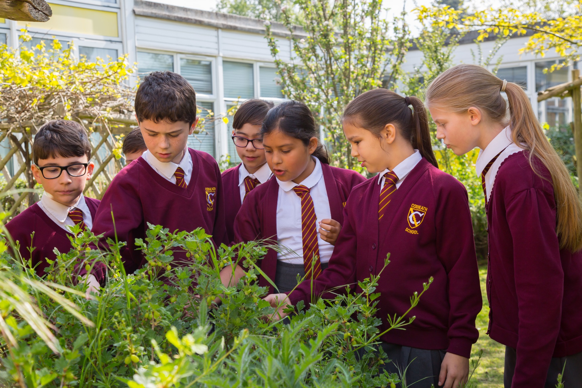 Coxheath Primary School - Home